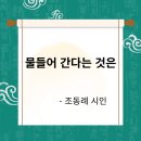 물들어간다는 것은 이미지