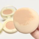 블루비타 | 헤브블루 싱글 비타 퓨어 글로우 쿠션 촉촉한 건성 쿠션 추천