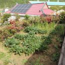 한천면사무소 앞 이미지