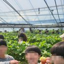 충효농장 이미지