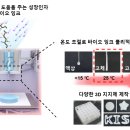잉크박사
