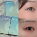 렌즈미 렌즈 여름쿨톤 렌즈 추천 고윤정렌즈 판데이아 베이지 그레이 후기