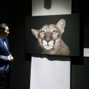 이&박의원 이미지