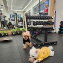 백짐 (100GYM) | 운동 입문자도 부담 없는 PT, 백짐 100GYM에서 건강한 시작!