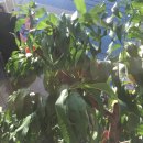 지명행정사사무소 이미지