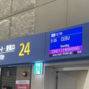 제이미르에프앤씨(주) | 엘지 트윈스가 보내준 세부 여행(2)