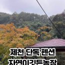 자연이 깃든 농장 네이버블로그