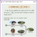 62 이미지