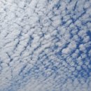 123무도장 이미지