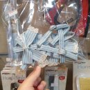 본애견미용실 이미지