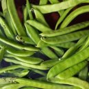 용우농장 이미지