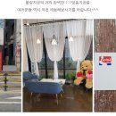 비타민볼링프로샵