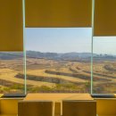 도대리카페 이미지