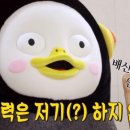 화훼기능사 이미지