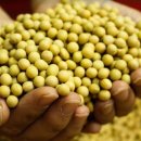 퍼주는 식당 이미지