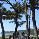 구름포해수욕장 이미지