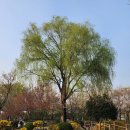 나무고아원입구 이미지