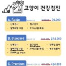 풍동 동물병원 이미지