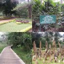 전병호농장 이미지