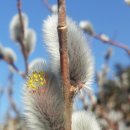 선우농장 이미지