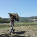 외양농장 이미지