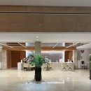 칼리커피머신 | 팔마 인근 가성비 좋은 숙소 추천, SON CALIU SPA OASIS 손칼리우 스파 오아시스 호텔, 수영장, 객실 후기