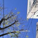 본죽&비빔밥 광주문흥점 이미지