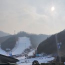 그랑셰프(콘도) 이미지