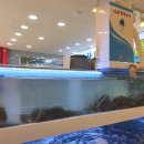 오륙도수산 이미지