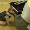 상귀농장 이미지