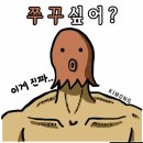 337쭈꾸미