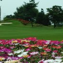 그린힐사우나 이미지