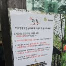 주식회사 이지팜 | 중랑캠핑숲 중랑가족캠핑장 오토캠핑사이트 후기 : 서울근교에서 숲느끼기
