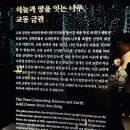 달개 | 국립경주박물관 신라금관 특별전 신라 금관 권력과 위신 APEC 정상회의 기념 뜻깊은 유물 감상 방문후기