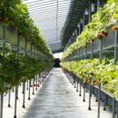 김해농장2 이미지