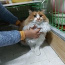 양덕동물병원 이미지