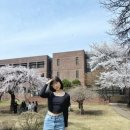 백송미용실 | April 2026. 난 벚꽃보단 목련