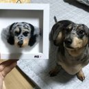 꼼지락다락방 이미지