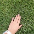 장성잔디생산자영농법인 이미지