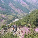 천주산 만남의 광장 이미지