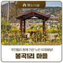 평온1리 마을회관 | 주민들이 함께 가꾼 노란 유채꽃밭 속 봉곡1리 행복충전소