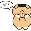 바이젝 월드 피트니스 이미지