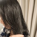 단사 | 천연 비건샴푸 비듬 가려움 각질 단사릭스 앙코 두피 모근케어 샴푸 1L 사용후기