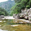 달천계곡 상류 네이버블로그