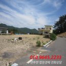 박달로 이미지