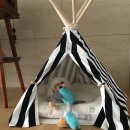 마카이오 | 강아지텐트가 왔어요