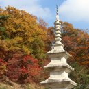[일원1] 금요 수채화 | 가을에 가기 좋은 서울 근교 수도권 단풍 여행지 추천 베스트 3