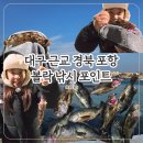 고앤스탑 | [경북 포항 바다낚시] 발판 좋은 볼락 포인트 추천, 초보도 쉽게 잡는 방파제 조행기