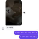 지승농장 | 26 // : !