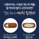 매스틱코리아